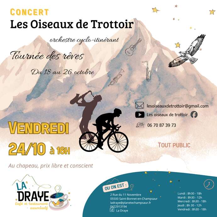 Concert  - Les oiseaux de trottoir