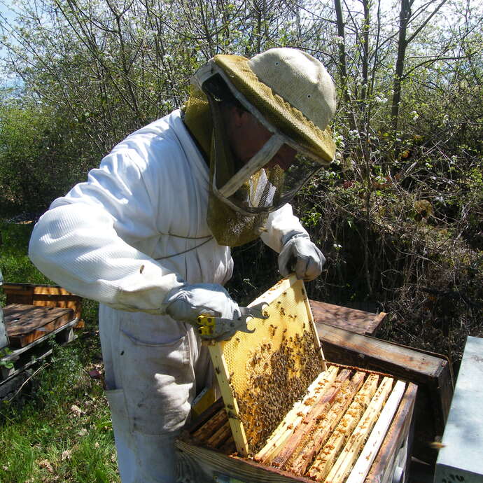 Apiculteur - Jean-Paul CHARET