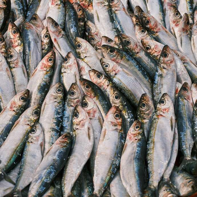 La marée boulonnaise