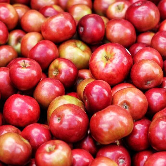 Le clos de Tournes - maraîcher