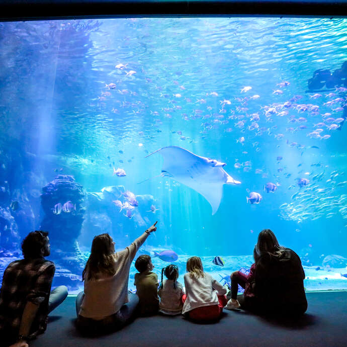Nausicaá - Centre national de la Mer